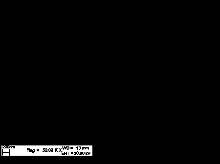 Method for preparing tungsten disulfide nano sheet