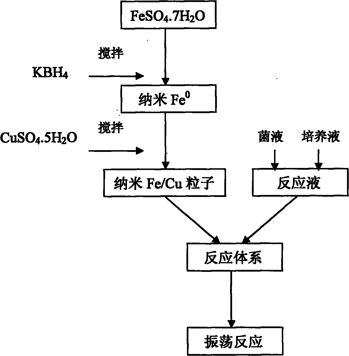 Method for remediating pollution of nitrate nitrogen in underground water