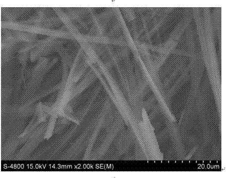 Synthesis method of porous hexagonal boron nitride fiber