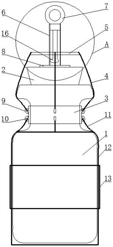 Wild-mouth bottle fixing device