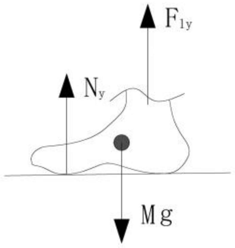 A Modeling Method and Application of a Whole Body Gait Motion Model Based on Vision and Touch Fusion