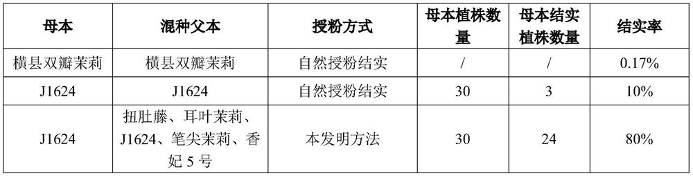 Method for increasing setting rate of jasmine flowers and pollination device thereof