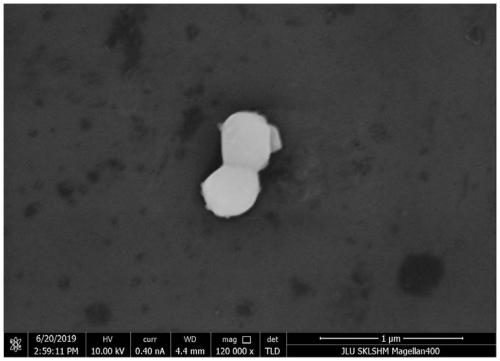 Hydroxyl copper chloride material and synthesizing method thereof