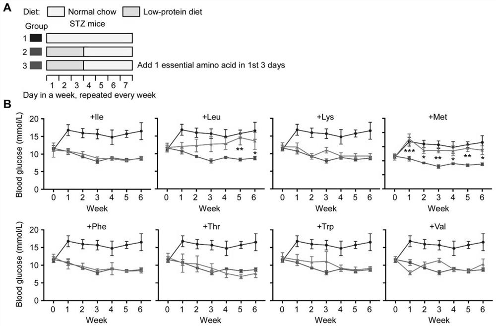 Method for effectively intervening diabetes mellitus by L-type amino acid transporter inhibitor or antagonist