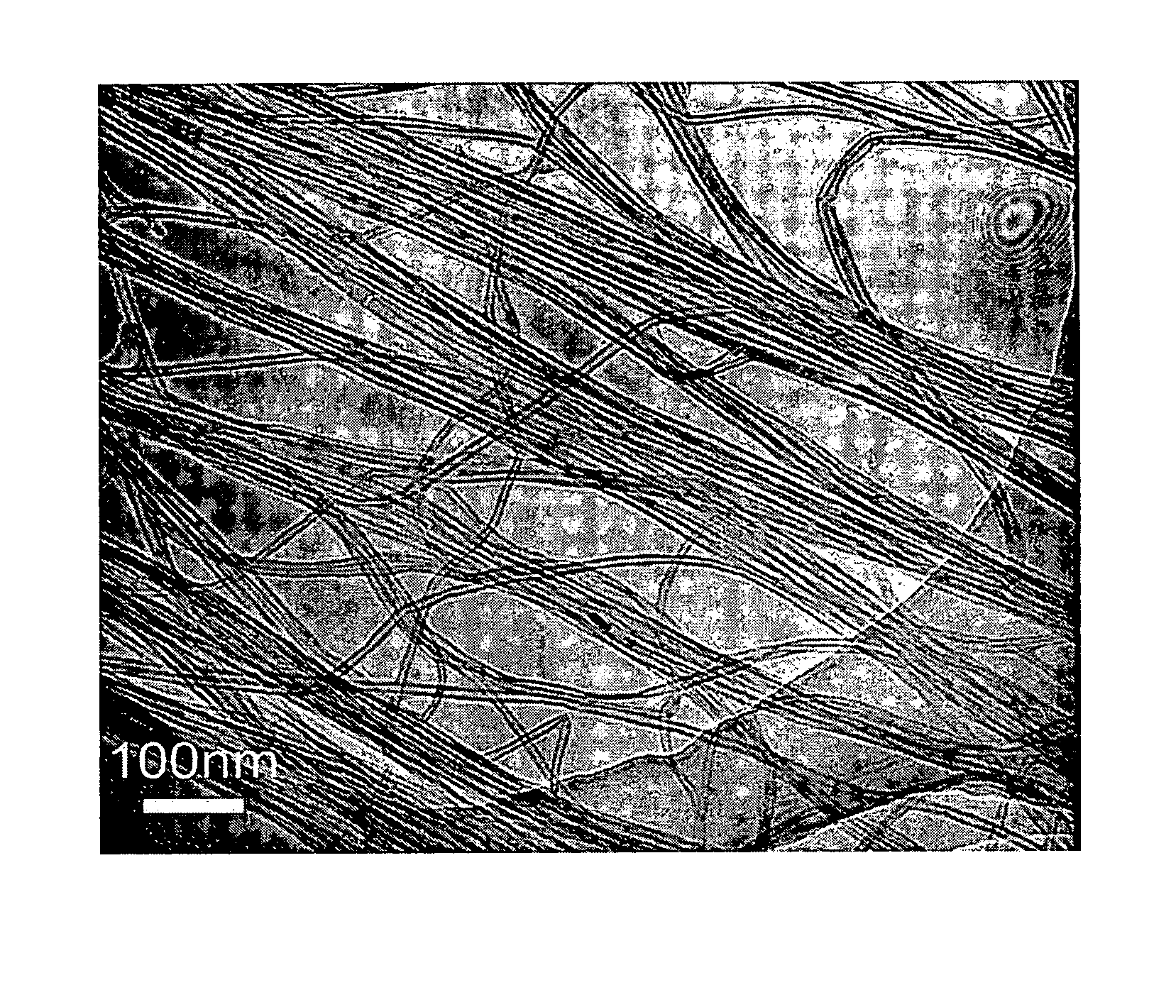 Method for fabricating carbon nanotube array