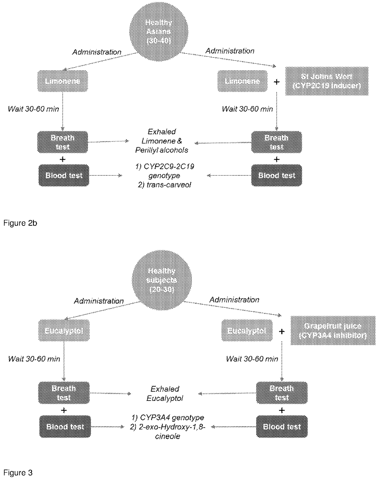 Method To Evaluate Metabolic Activity Of Liver Enzymes