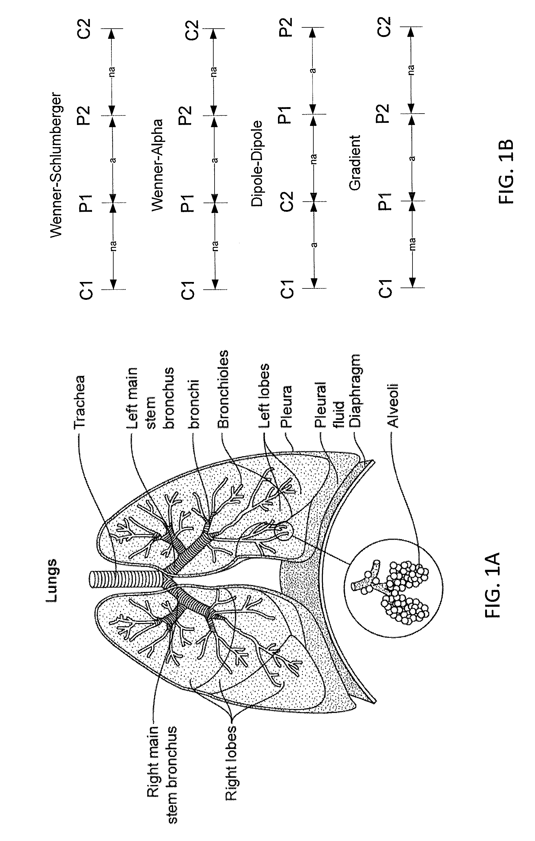 Apparatuses for home use in determining tissue wetness