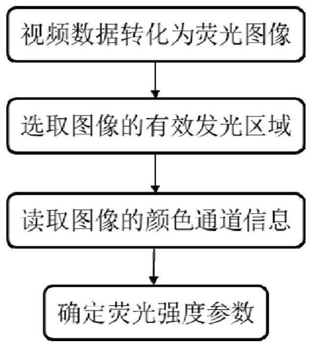 Fluorescence spectrum detection method based on smart phone