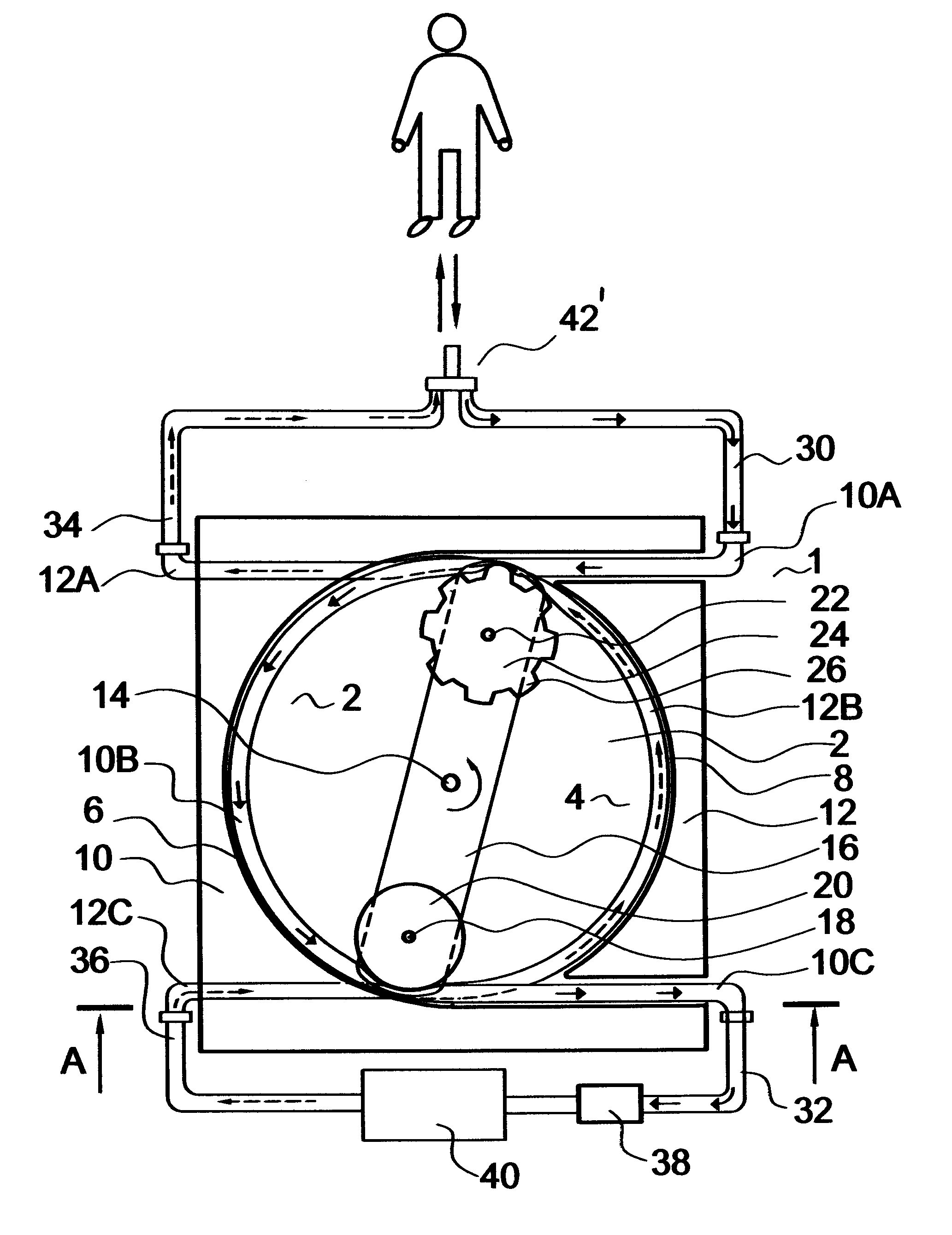 Single-needle dialysis sytem utilizing a peristaltic pump with pumping and occluding rollers