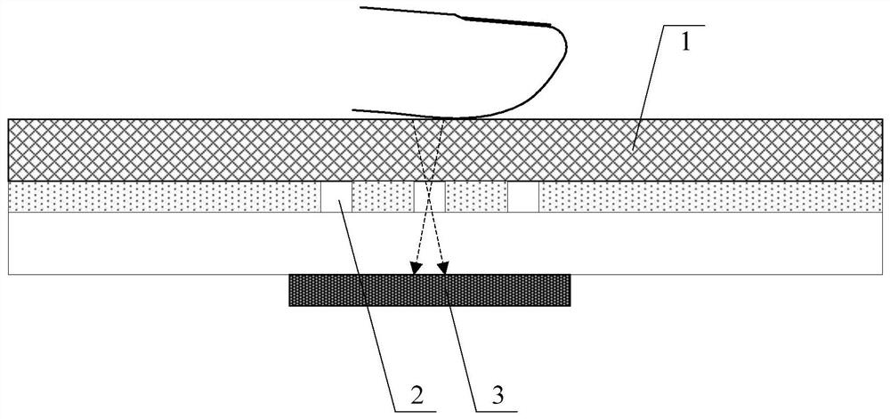 A kind of oled display panel, fingerprint identification method and display device