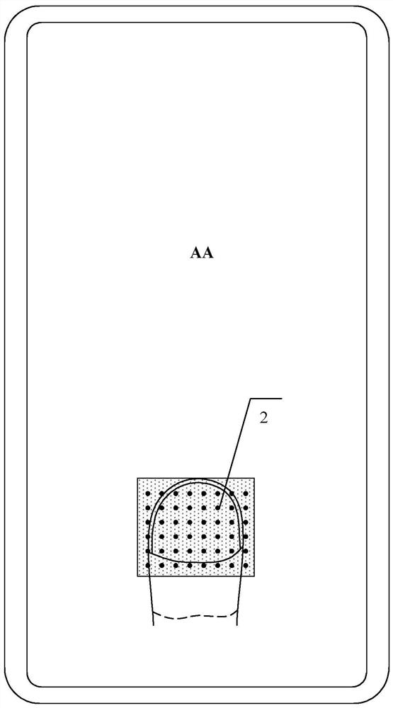 A kind of oled display panel, fingerprint identification method and display device