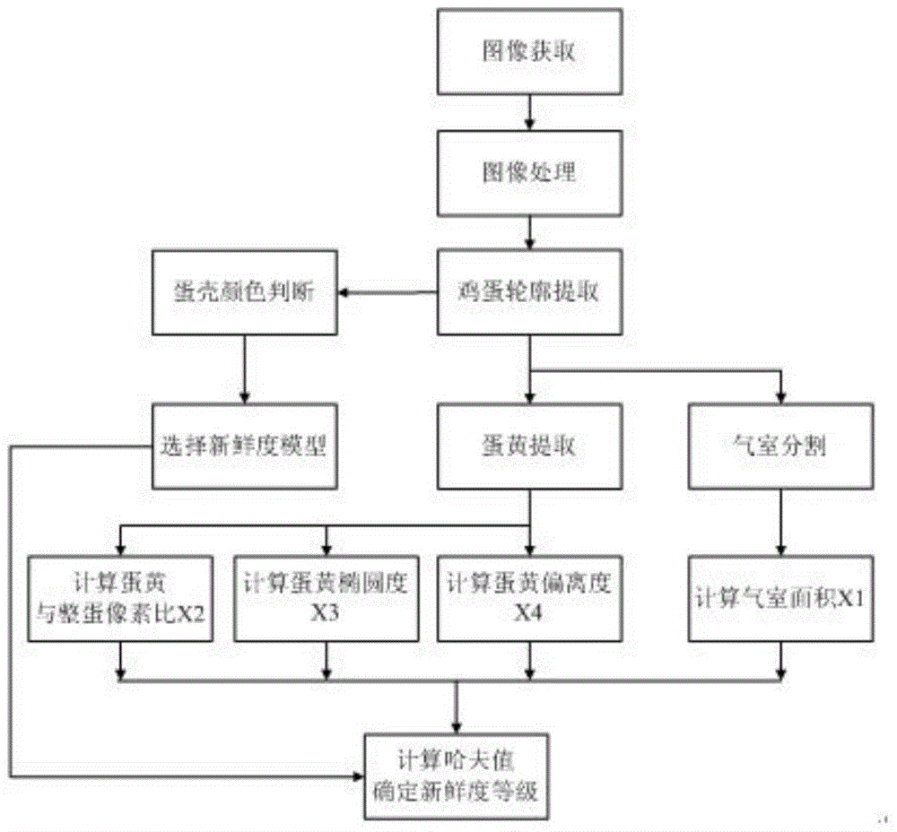 Egg freshness nondestructive testing system based on Android system and egg freshness nondestructive testing method