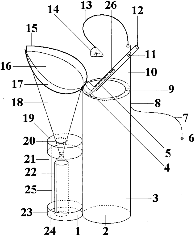 Batch collection device for collembola specimens in feeding box