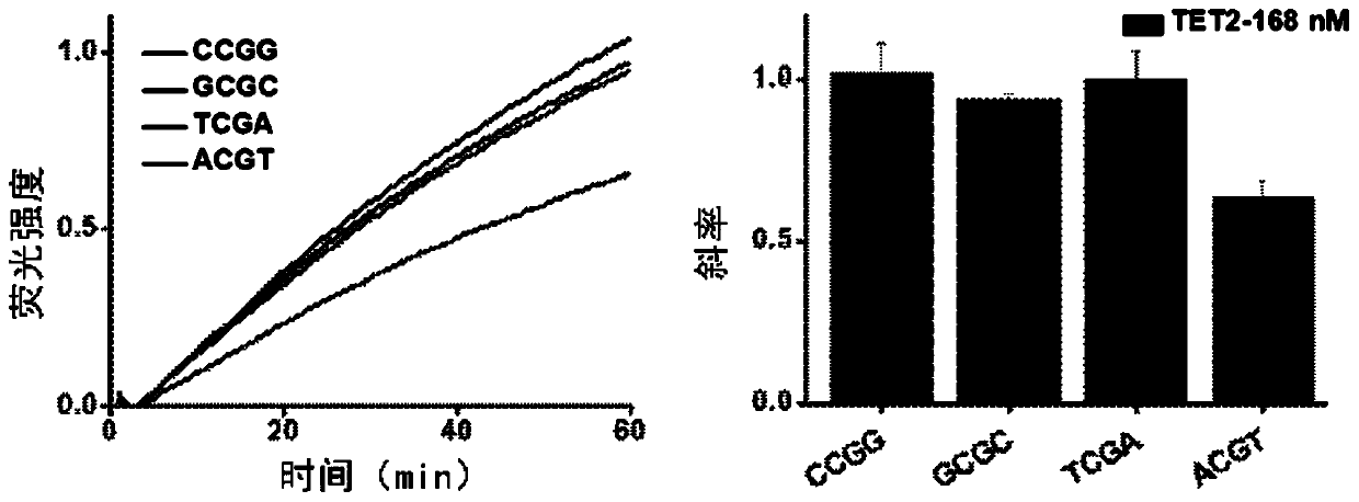 Research method of Tet2 sequence preference