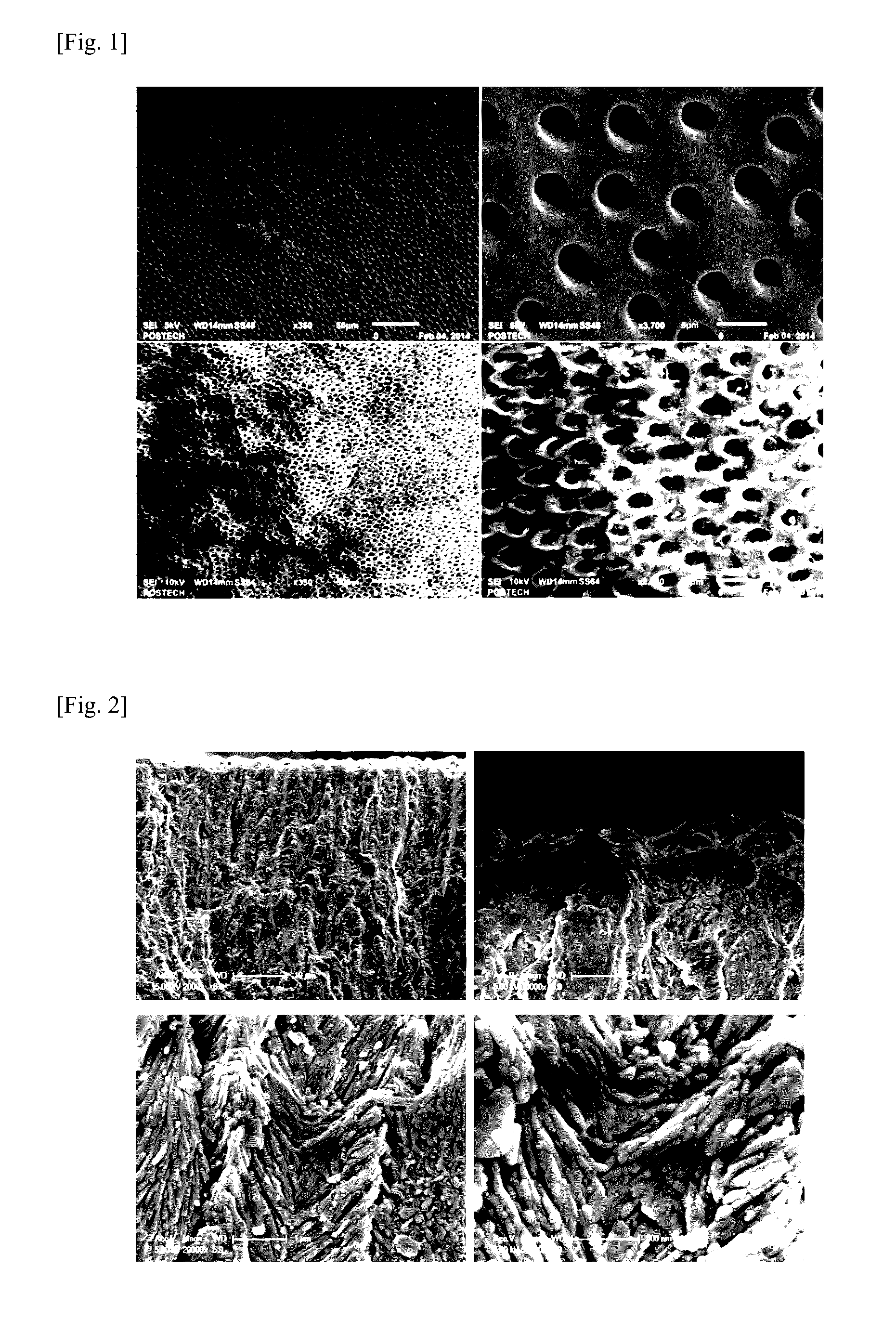 A composition for oral application and a method for preparing the same