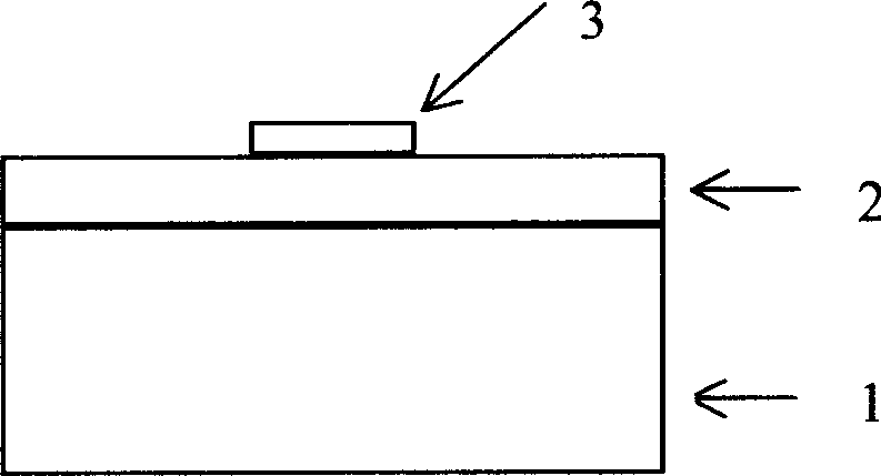 Test electrode for single unidimensional nano material and fabricating method thereof