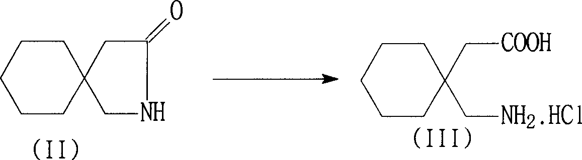 Production of gabapendin