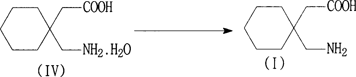 Production of gabapendin