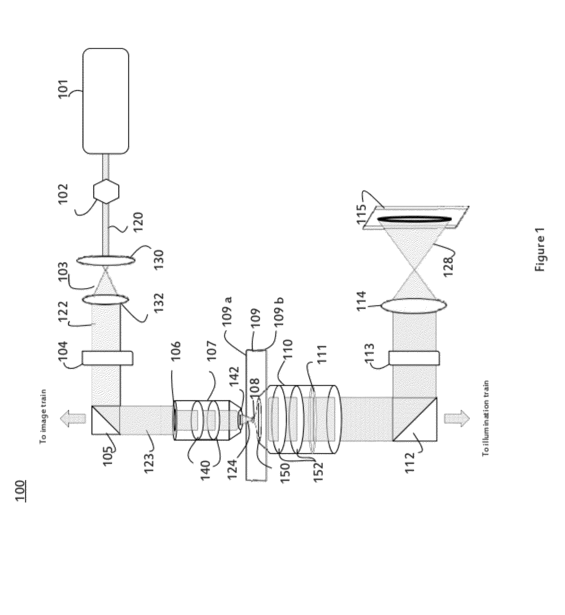 Method and Apparatus for Measuring the Optical Forces Acting on a Particle