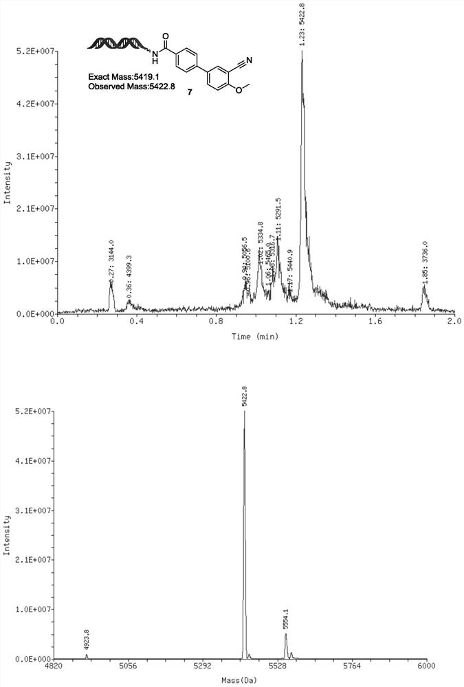 One-pot On-DNA Suzuki reaction method