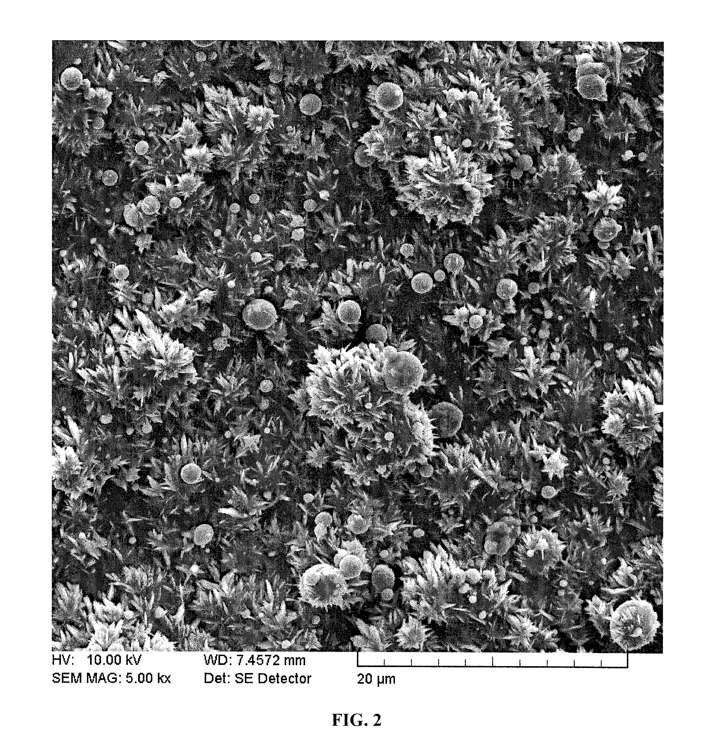 Spinulose titanium nanoparticulate surfaces