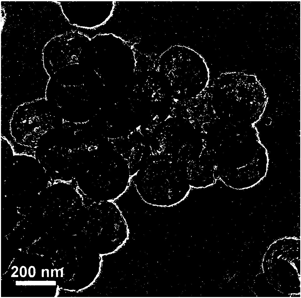 Oxygen reduction catalyst, preparation method and application thereof