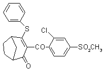 Cornfield weedicide composition as well as preparation method and application thereof