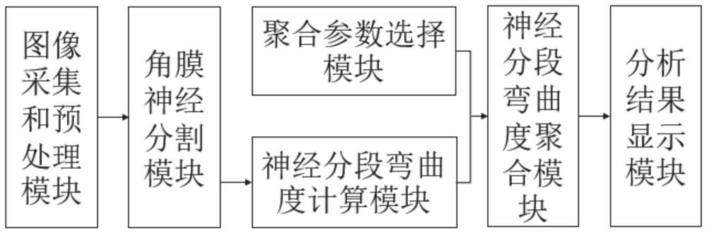 Corneal nerve curvature measuring system and method based on IVCM image