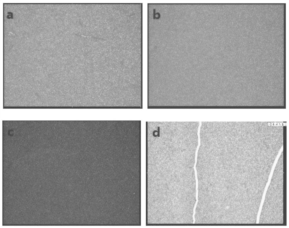 Anode catalyst layer and preparation method thereof