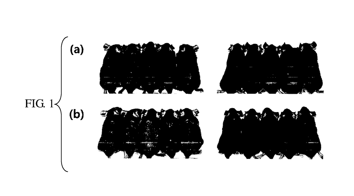 Composition for promoting hair growth or preventing hair loss