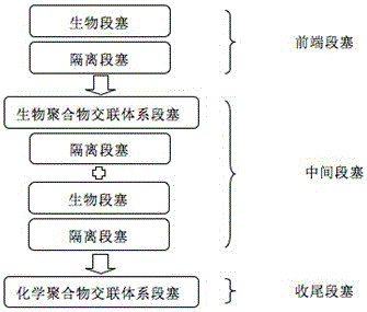 Biological self-healing deep profile control slug combination and using method thereof