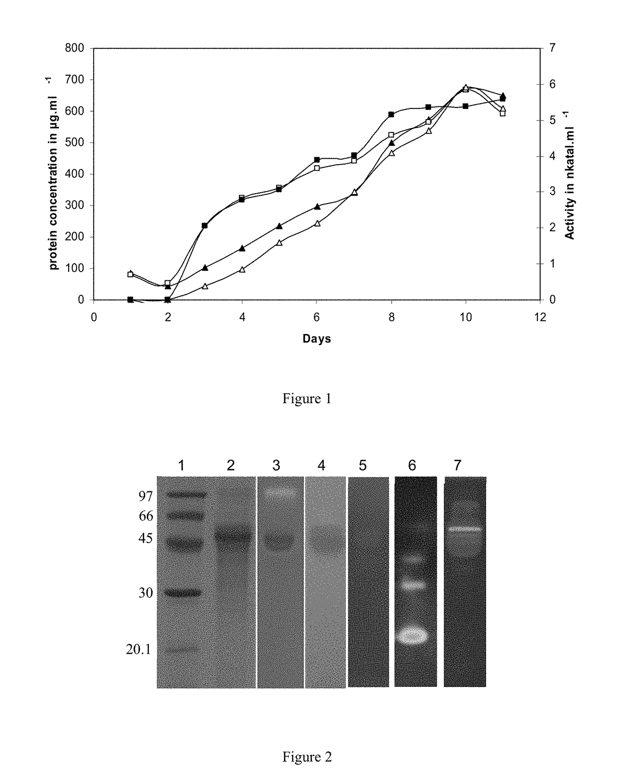 Compositions comprising cellobiose dehydrogenase from <i>Pycnoporus cinnabarinus </i>and their use for the degradation of lignocellulosic biomass