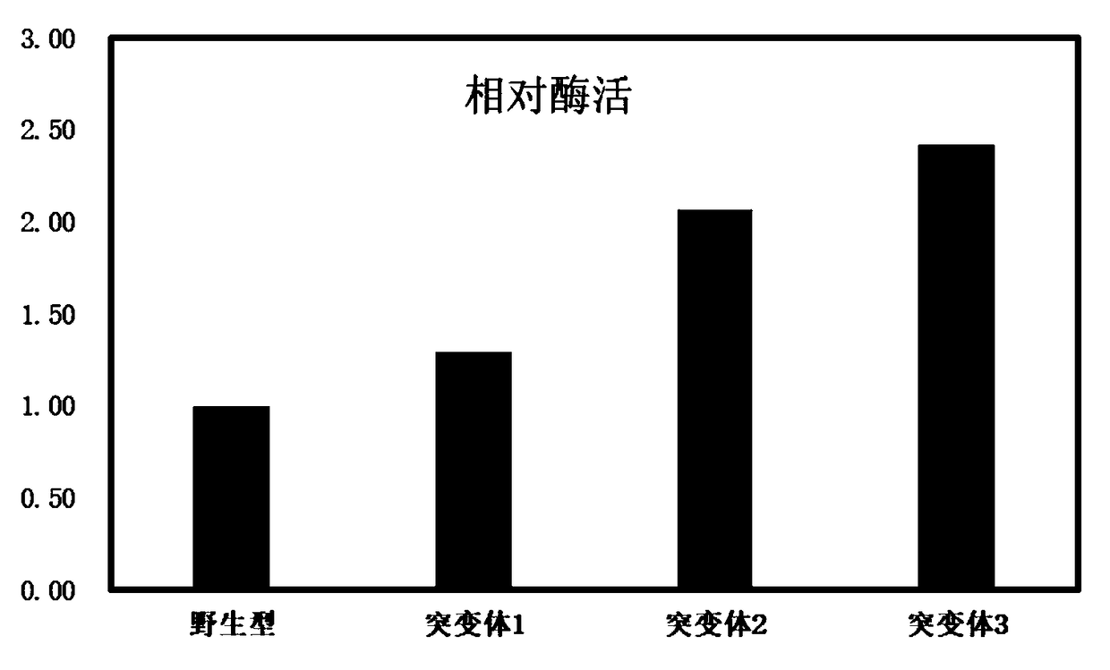 Mutant of PET (polyethylene terephthalate) degrading enzyme and application of PET degrading enzyme