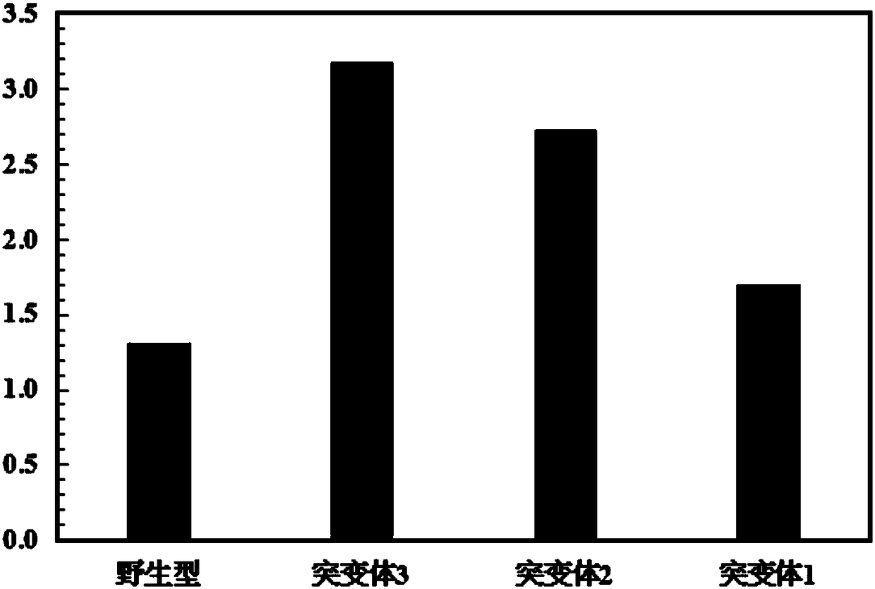 Mutant of PET (polyethylene terephthalate) degrading enzyme and application of PET degrading enzyme