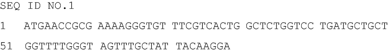 Preparation method of recombinant Cordyceps militaris superoxide dismutase