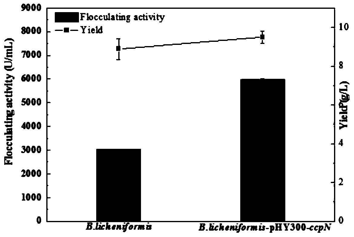 Engineering bacterium over-expressing carbon catabolite repression effect transcription inhibitor gene and construction method thereof