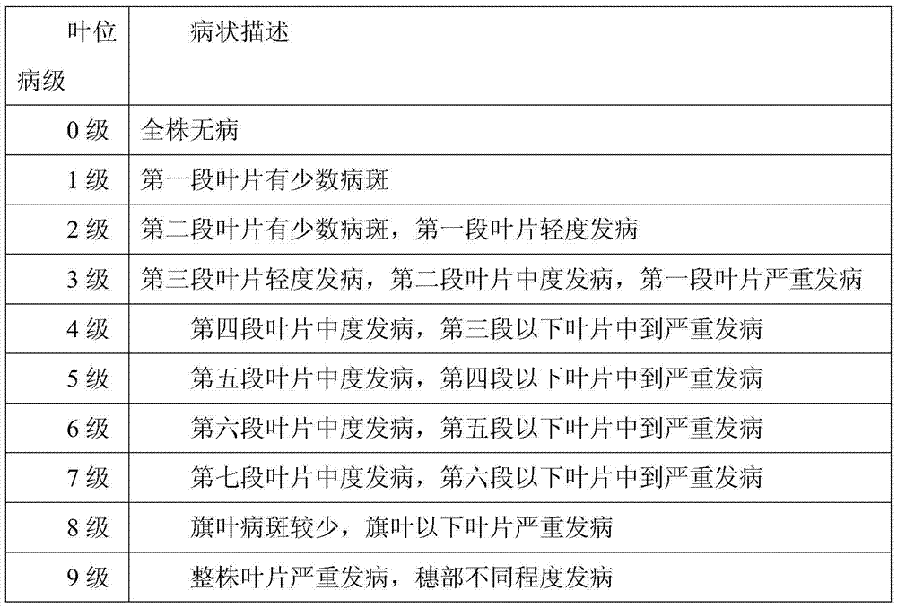 A method for creating high-quality powdery mildew resistant breeding elements based on tufted wheat