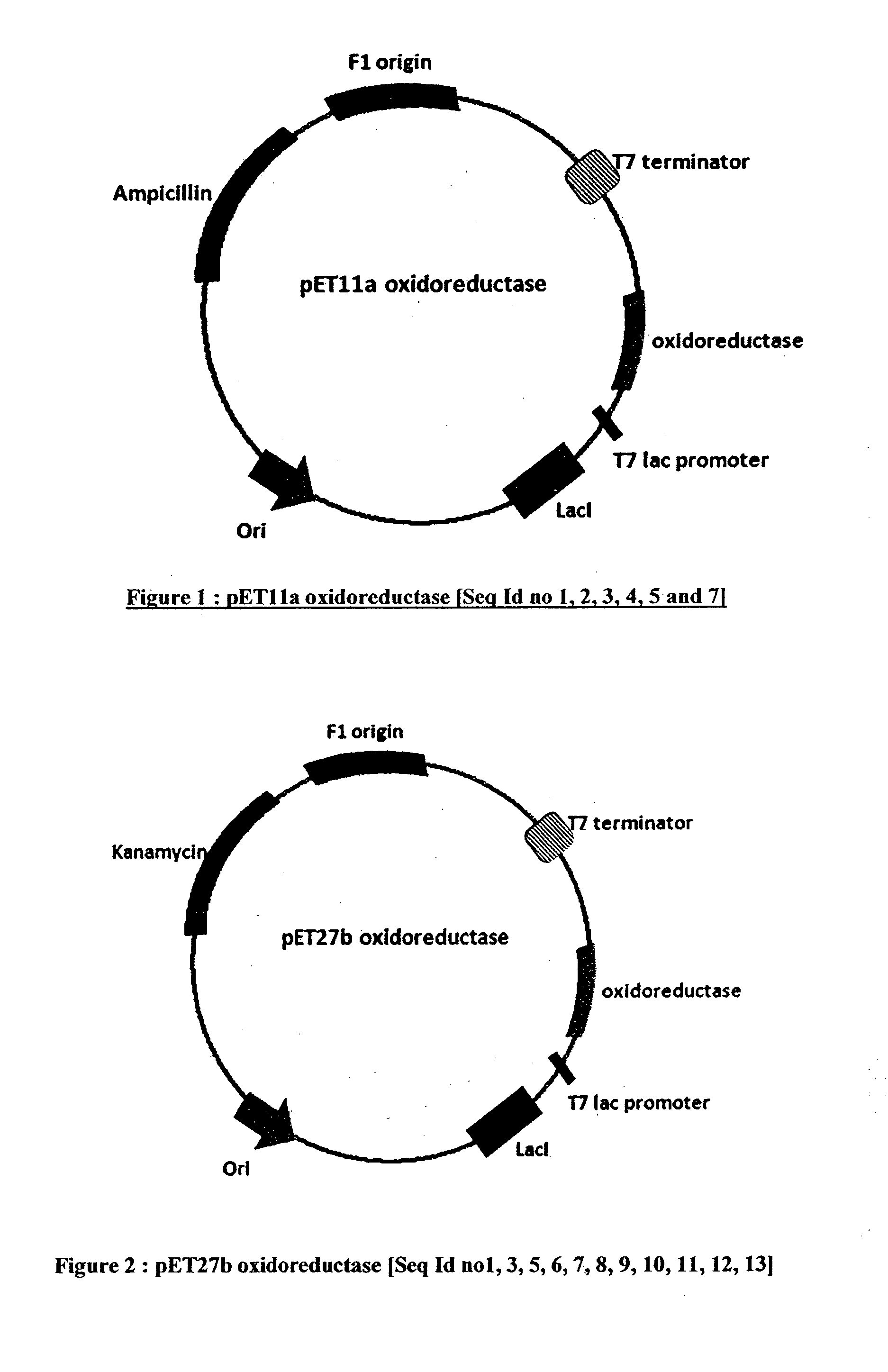 Process for preparing an intermediate of sitagliptin via enzymatic conversion