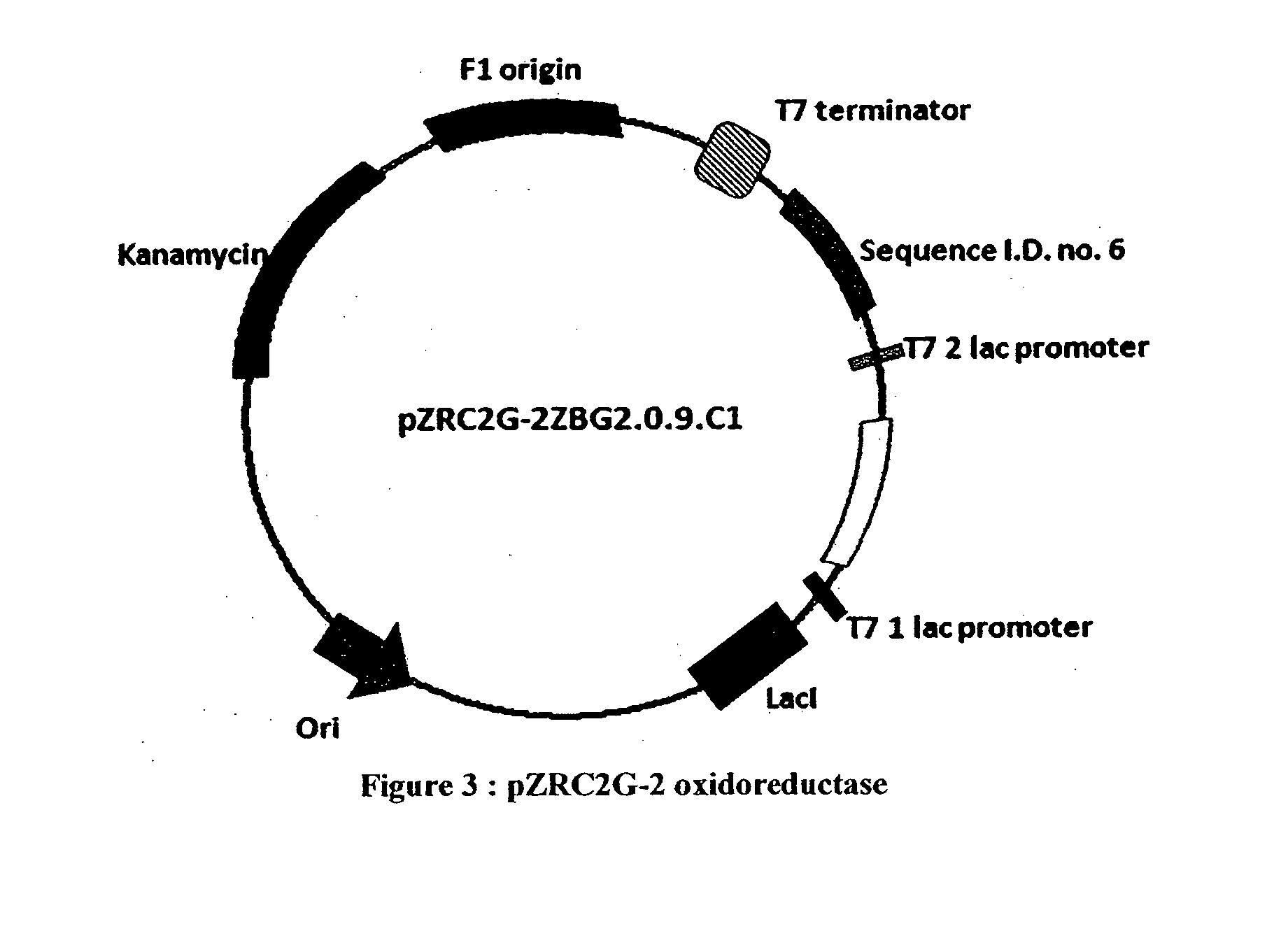 Process for preparing an intermediate of sitagliptin via enzymatic conversion