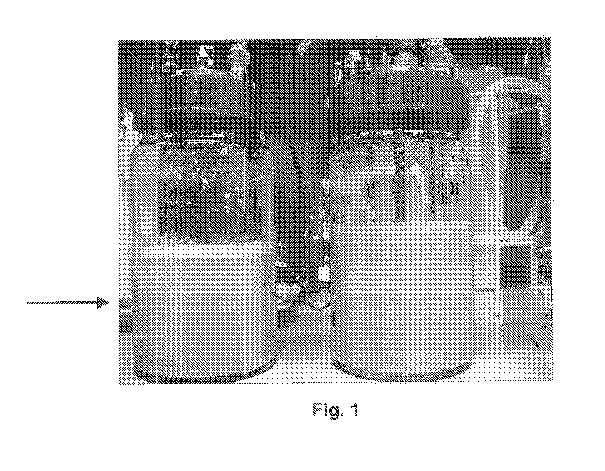 Process for the improved separation of a hydrophobic organic solution from an aqueous culture medium