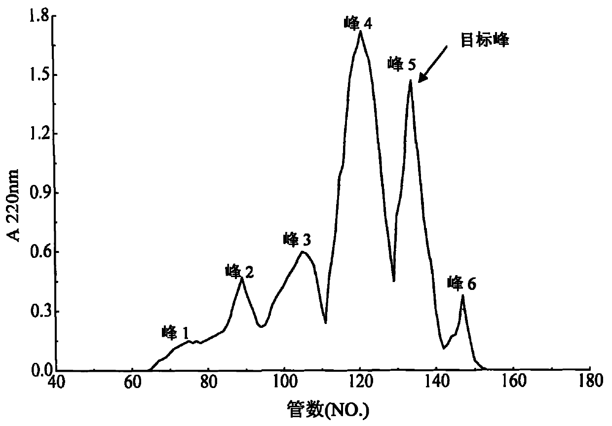 Method for preparing angiotensin converting enzyme inhibitory peptide (ACEIP) by using enzymatic degradation on mussel-digested protein