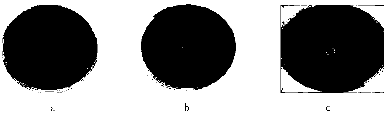 A high temperature resistant Aspergillus fumigatus strain 23# and its application