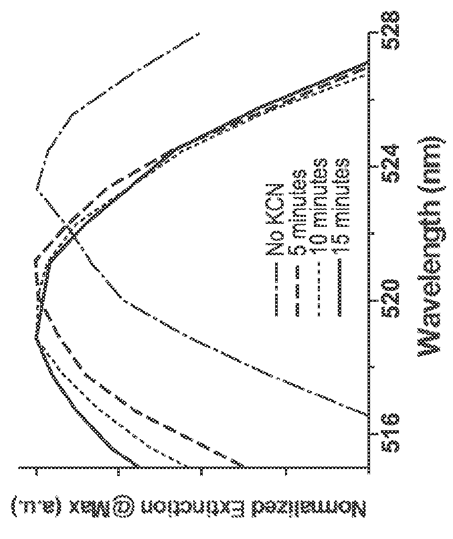 Templated nanoconjugates