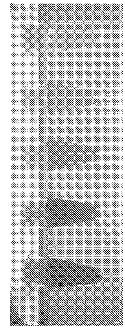 Templated nanoconjugates