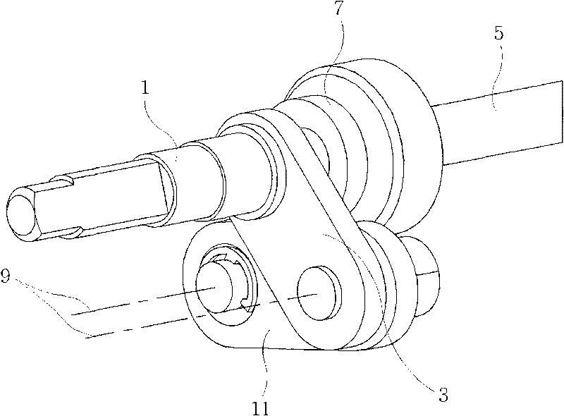 Coupling apparatus between drive shaft and driven shaft