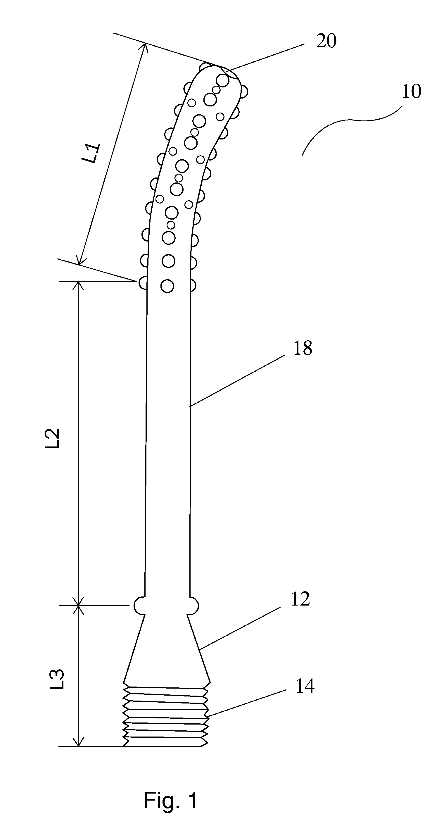 Self service cleaning device for woman