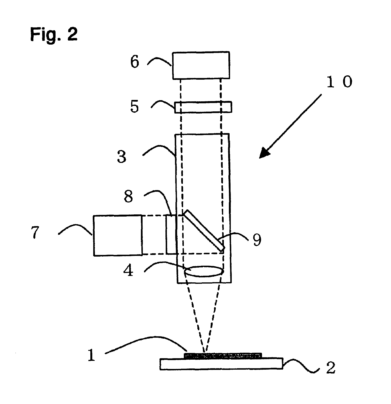 Method of detecting viable cells