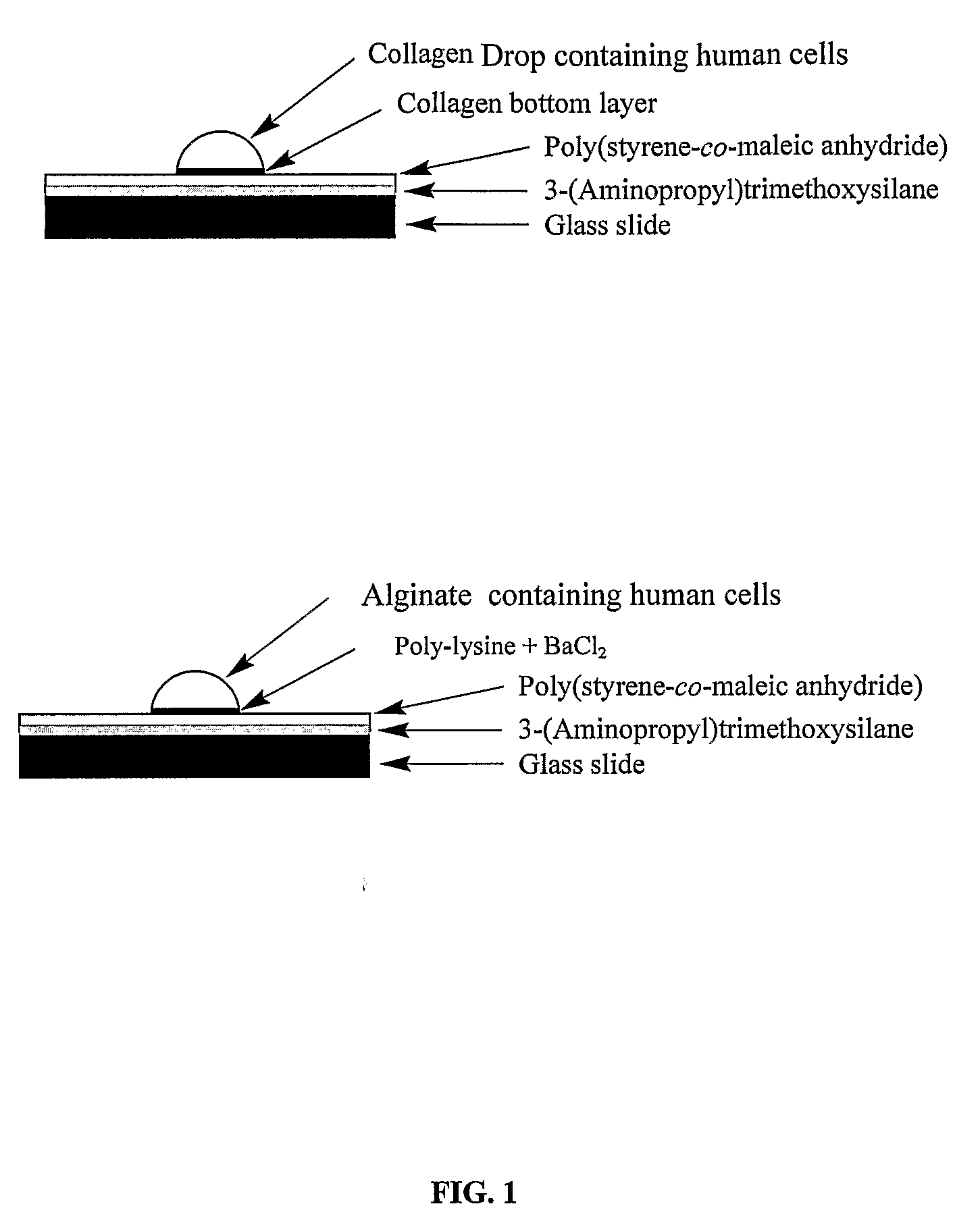 Three-dimensional cellular array chip and platform for toxicology assays