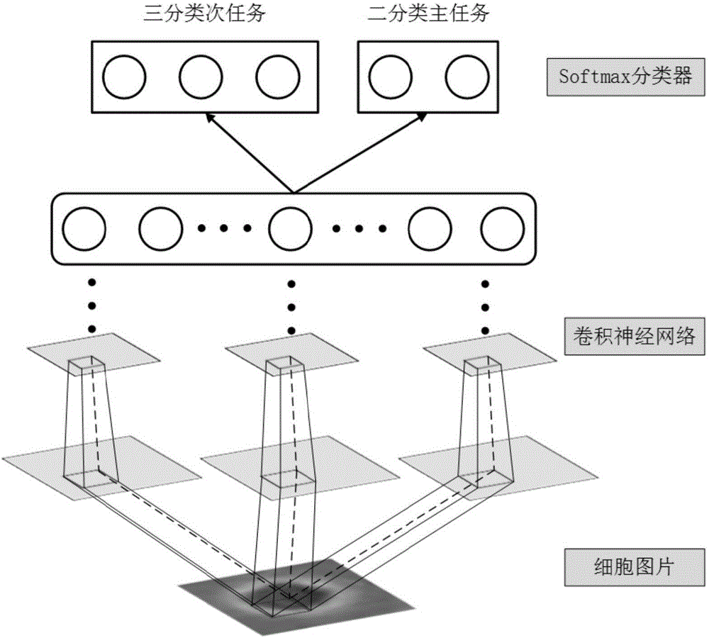 Cell tracing method based on deep neural network