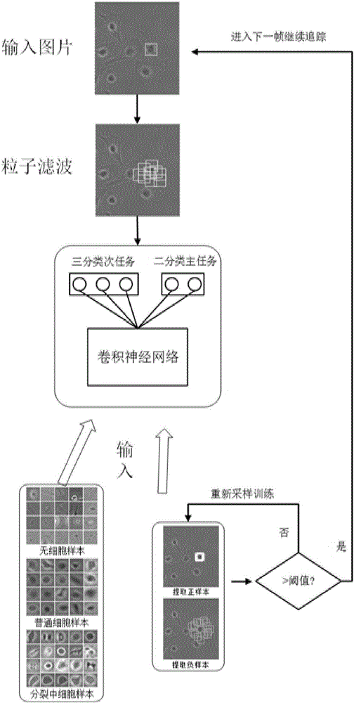 Cell tracing method based on deep neural network